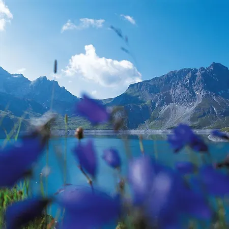 Gartenappartment De Luxe By A-appartments 布兰德